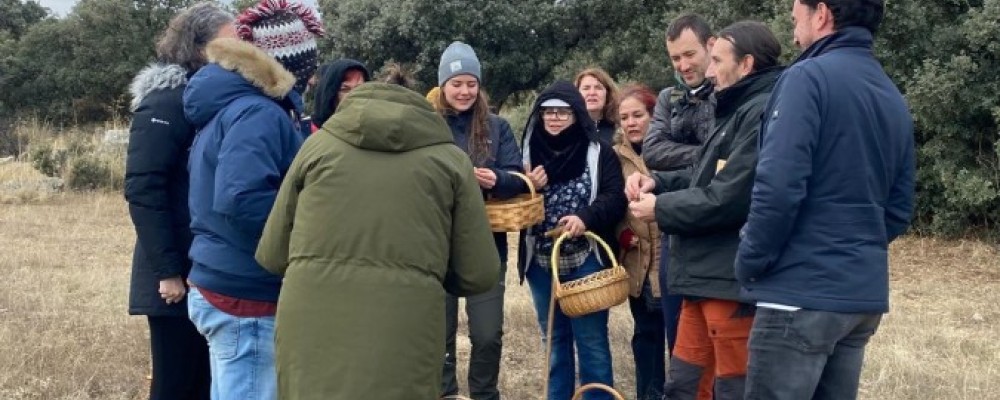 Los alumnos del XXVI curso ‘Conoce los hongos de Ávila’ identifican más de 120 especies que confirman una temporada “mejor de la esperada”