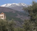 Foto de El TREEADS elige Ávila para presentar sus resultados de gestión de incendios forestales en toda España
