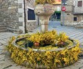 Foto de Cepeda la Mora acoge el día central de Gredos en Flor con actividades y diversión para toda la familia
