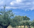 Foto de La riqueza natural de Ávila, en sendas ferias de turismo que se celebran en Segovia y Tarragona