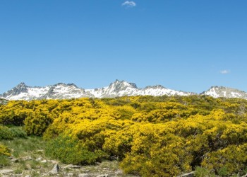 Dos mancomunidades se unen para celebrar el festival 'Gredos en Flor’ con el apoyo de la Diputación