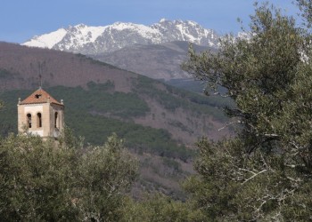 El TREEADS elige Ávila para presentar sus resultados de gestión de incendios forestales en toda España