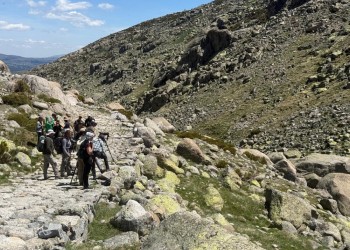 Las aves del Tiétar y Gredos ponen el broche de oro al XI Curso de la Diputación ‘Conoce las aves de Ávila’ (2º Fotografía)