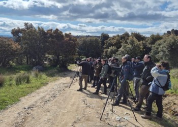 Las aves del Tiétar y Gredos ponen el broche de oro al XI Curso de la Diputación ‘Conoce las aves de Ávila’ (3º Fotografía)