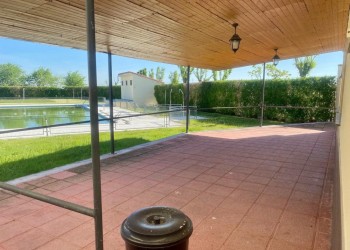 Dos bares más, en Langa y Padiernos, se suman a la lista de éxitos de ‘Relevo en el Negocio Rural’ (2º Fotografía)