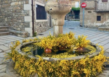 Cepeda la Mora acoge el día central de Gredos en Flor con actividades y diversión para toda la familia