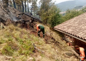 La Diputación valora el “impresionante trabajo y despliegue que ha permitido el control del fuego en el Tiétar” (4º Fotografía)