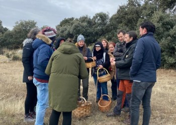 Los alumnos del XXVI curso ‘Conoce los hongos de Ávila’ identifican más de 120 especies que confirman una temporada “mejor de la esperada”