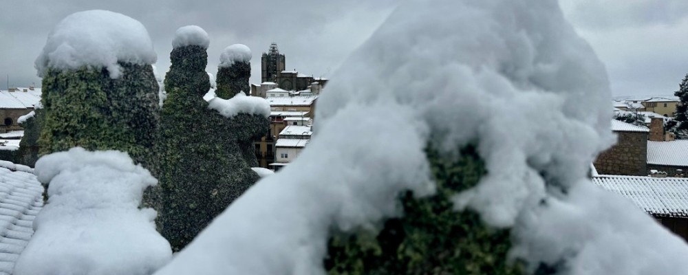 La Junta de Gobierno de la Diputaci&oacute;n expresa el dolor de la provincia ante el siniestro ferroviario de Adamuz