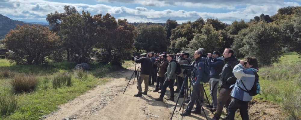 Abiertas las inscripciones para la XII edici&oacute;n del Curso &lsquo;Conoce las aves de &Aacute;vila&rsquo;