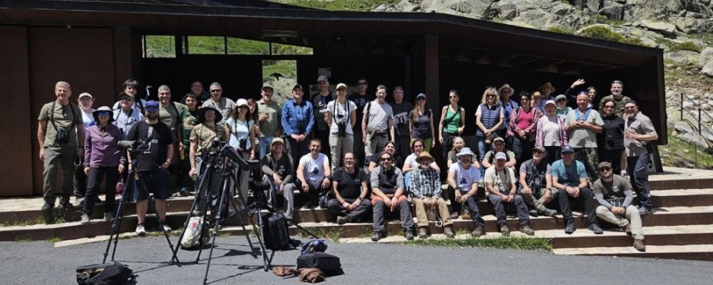 El XII Curso &lsquo;Conoce las aves de &Aacute;vila&rsquo; se cierra con 101 especies identificadas