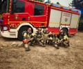 Foto de La Diputación agradece y reconoce la “impresionante ayuda” recibida por la provincia contra el incendio de Burgohondo