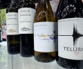 Foto de &Aacute;vila Aut&eacute;ntica lleva a M&aacute;laga los sabores de la provincia en Wine Sur