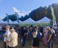 Ávila Auténtica agota existencias en Músicos en la Naturaleza 2026