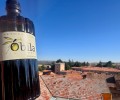 El AOVE 'Óbila', de la futura DOP Valle del Tiétar, obtiene dos nuevos galardones internacionales