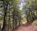 La Diputaci&oacute;n impulsa tres talleres de gesti&oacute;n forestal para promover la prevenci&oacute;n de incendios