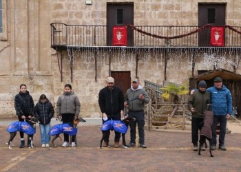 Una galga zamorana y otra de Aldeaseca disputar&aacute;n la gran final de la I Copa Diputaci&oacute;n de &Aacute;vila (2&ordm; Fotograf&iacute;a)
