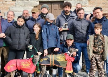 La galga zamorana Sombra de Cacheva se alza con la I Copa Diputaci&oacute;n en la final de Palacios de Goda (2&ordm; Fotograf&iacute;a)