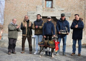 La galga zamorana Sombra de Cacheva se alza con la I Copa Diputaci&oacute;n en la final de Palacios de Goda