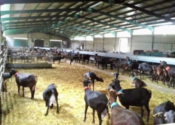 &lsquo;Relevo&rsquo; suma otros cinco negocios en lo que va de marzo y llega a 39 cerca de su primer aniversario (2&ordm; Fotograf&iacute;a)