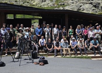 El XII Curso &lsquo;Conoce las aves de &Aacute;vila&rsquo; se cierra con 101 especies identificadas