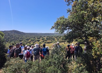 El XII Curso ‘Conoce las aves de Ávila’ se cierra con 101 especies identificadas (2º Fotografía)