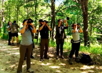 Divulgadores y expertos protagonizan la primera jornada de experiencias turísticas del Proyecto PIO (3º Fotografía)