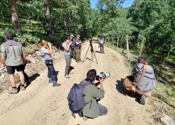 Divulgadores y expertos protagonizan la primera jornada de experiencias turísticas del Proyecto PIO (2º Fotografía)