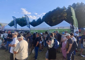 Ávila Auténtica agota existencias en Músicos en la Naturaleza 2026