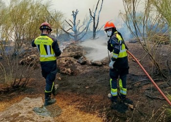 Catorce camiones conveniados y cuatro agrupaciones de Protección Civil, en el operativo contra el incendio de El Barraco
