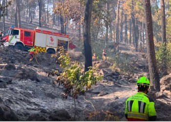 La Diputaci&oacute;n agradece y reconoce la &ldquo;impresionante ayuda&rdquo; recibida por la provincia contra el incendio de Burgohondo (4&ordm; Fotograf&iacute;a)