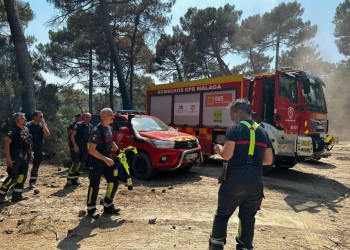 La Diputaci&oacute;n agradece y reconoce la &ldquo;impresionante ayuda&rdquo; recibida por la provincia contra el incendio de Burgohondo (2&ordm; Fotograf&iacute;a)