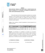 resolucion-tribunal_tecnico-de-gestion.pdf