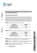 resolucion-final-tribunal_arquitecto.pdf