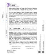 resolucion-tribunal-calificador-y-constitucion-de-bolsa_electricista.pdf