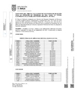 resolucion-tribunal-calificador_electricista.pdf