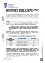 resolucion-y-calificaciones-definitivas_electricista.pdf