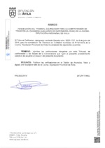 resultado-proceso-seleccion_tcae.pdf