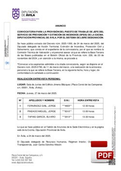 Jefe del Servicio de Prevención y Extición de Incendios (SPEIS)
