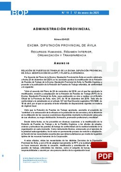 Modificación de la RPT (Relación de Puestos de Trabajo) de la Diputación de Ávila. Sesion 23 de diciembre 2024